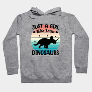 Just a girl who loves Dinosaurs 6 Hoodie